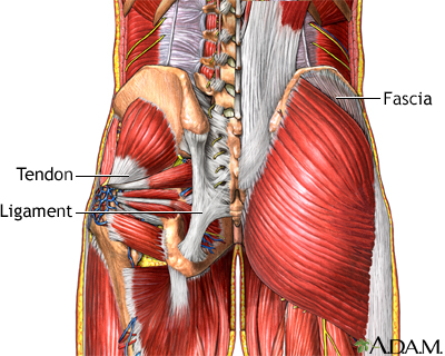 What Can I Do About Muscle Soreness?