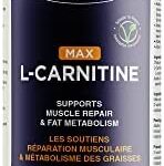 Orange Flavoured Maxion L-Carnitine 1500mg with Vitamin B5 for Enhanced Muscle Recovery Post-Workout, 450 mL Bottle 27 31bvecPstxL. AC